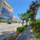 주공8차아파트 앞 이미지