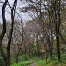 오읍약수터 이미지