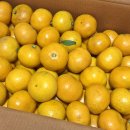 민경농장 이미지