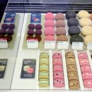 위드 아이스크림 | by 워크샵 바이 배스킨라빈스 메뉴 : 고구마브륄레 위드 아이스크림 젤라스 피스타치오 허니요거트 후기