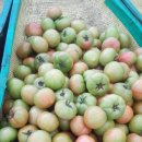 양화농장 이미지