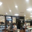 뉴코아미소페