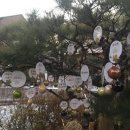 명동사우나 이미지