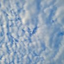 PK휘트니스 이미지