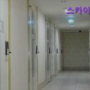 스카이빌고시텔 네이버블로그