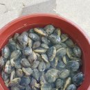 고흥사랑민박 이미지