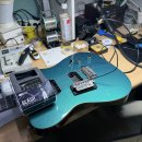 HARLEY | 🎸Harley Benton Fusion-T HH 일렉기타 픽업 교체 후기