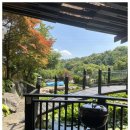 그랑아치 | 양평펜션에서 찾아낸 완벽한 휴식, 그랑아치풀빌라 후기