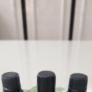 레몬과 오렌지 | 시트러스 오일3종((레몬,오렌지,자몽)사용후기[향기여행#6]