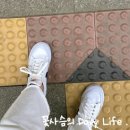 7590 | 나이키] 클래식 운동화 단화로 제격 '나이키 코트 레거시 리프트 화이트/ DM7590-100'실착 후기 230 사이즈