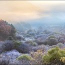 비밀의 정원 이미지