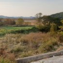 돌산읍우두출장소 이미지