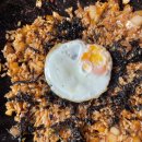 김재완원조돼지김치구이 이미지