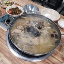 다비다 식당 이미지
