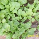 금병농장 이미지