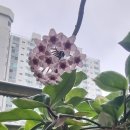 호야 - 하남시 하남대로 843 | 호야