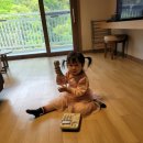 (주)휘바핀란드위드플레이정글 | 4월 넷째주/어린이대공원 소풍은취소/24-25 홍천 비발디파크