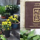 새서울이용원 네이버블로그