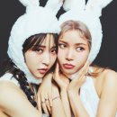 투래빗츠