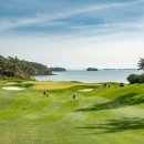 늘,파인 이미지