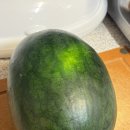 성현농장 이미지