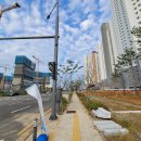 타운약국 이미지