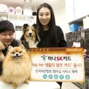 마이펫30(My Pet 30)) 이미지