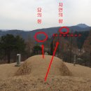 이백지 묘 네이버블로그