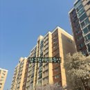 압구정-119 이미지