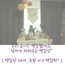 자연향기떡 이미지