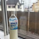 모닝마트 천상점 | 죠 보러 도쿄 왔는데 죠가 안 왔다 그래서 도쿄 여행했다