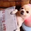 새나에스테틱