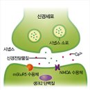 자폐증을 고치기 어려운 이유 - 그들의 마음을 열 방법은? 이미지