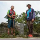 성창씽크 이미지