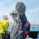 현대낚시 이미지