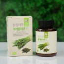 (주)푸른들