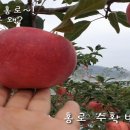 천영농장 이미지