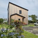 제주로망공인중개사사무소 이미지