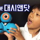 스마트앤토이