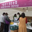 경기양돈 이미지