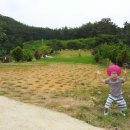 우포늪단감펜션 이미지