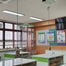 성신초등학교 Daum카페
