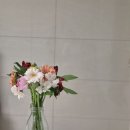 영남화훼원예농협주유소 | [화훼농가돕기] 경매 후 남겨진 못난이 꽃 사봤어요! 만원의 행복