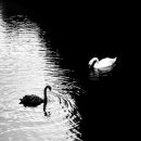 만남의거리1 이미지