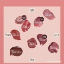 스테이핏 | 한정컬러 한국 출시 단 5일간만 구매할 수 있는 한정판 틴트 퓌 로즈 옵세션 스테이핏 틴트 정보 후기 발색