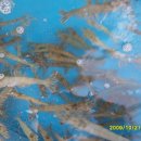 아산만주유소 이미지