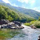 제990차 정기산행 진안 운일암반일암 숲길 이미지