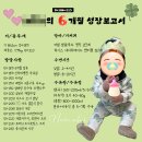 치킨플러스조양점 | [25.12.18.] 찰떡일기 (50) :: D+225~231 외갓집 식구들과 강화도 여행│인생 첫 산타할아버지🎅 영접...