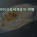 오류농장 이미지