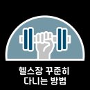 더하남 여성전용PT 레이디짐 미사점 이미지